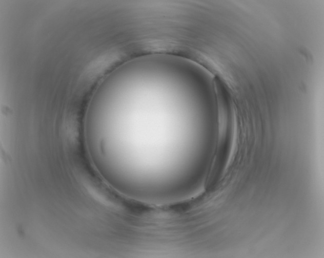 X0000090950255200708021342