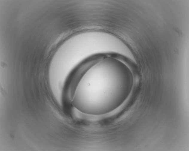 X0000090950256200708021342