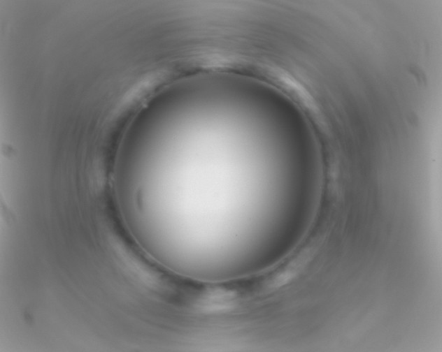 X0000090950257200708021342