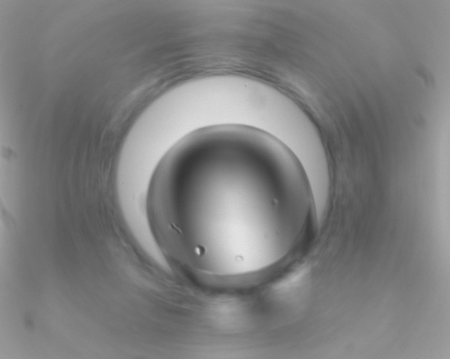 X0000090950258200708021342