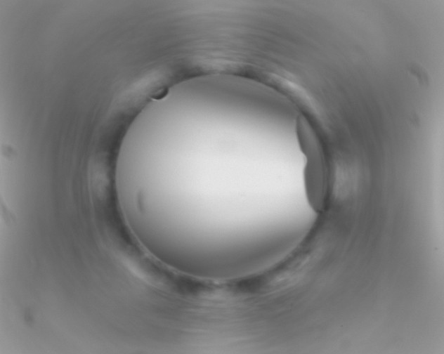 X0000090950259200708021342