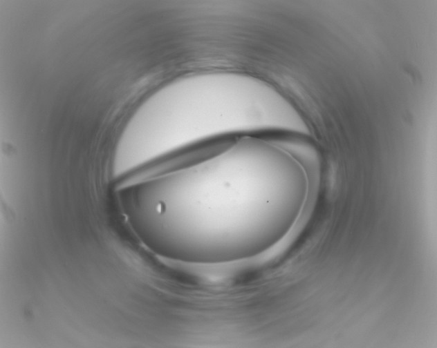 X0000090950260200708021342