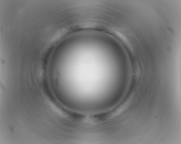 X0000090950261200708021342