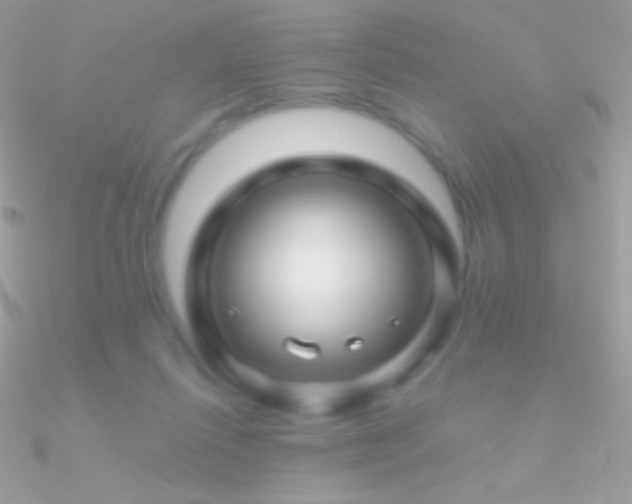 X0000090950262200708021342
