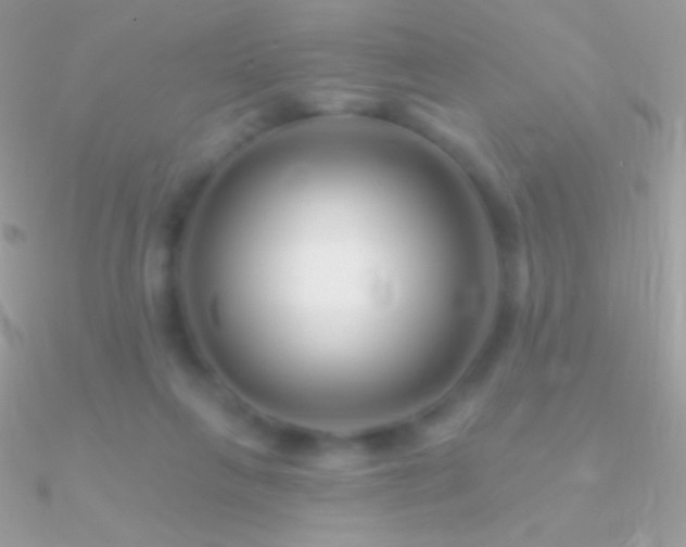 X0000090950263200708021342