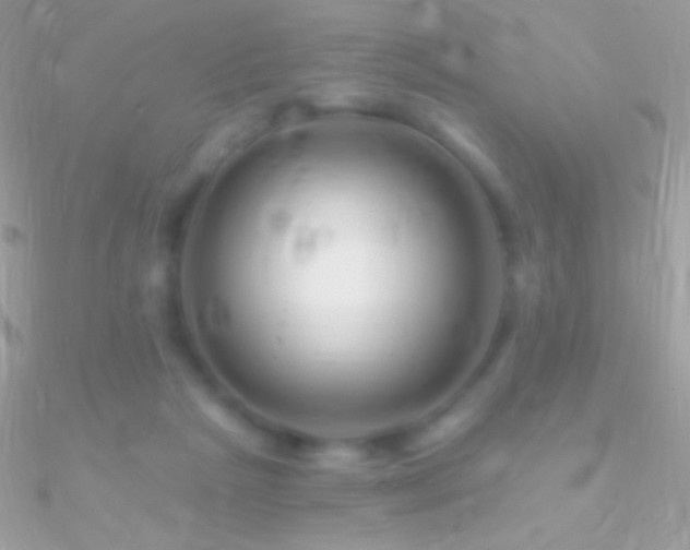 X0000090950265200708021342