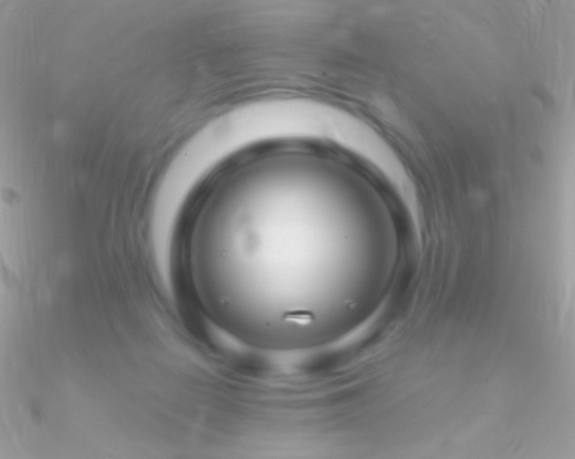 X0000090950266200708021342