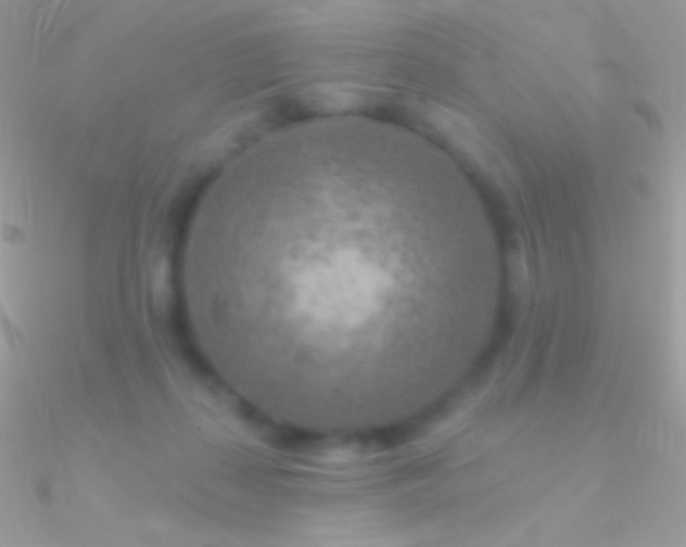 X0000090950267200708021342