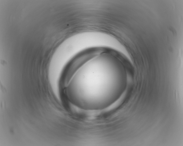 X0000090950268200708021342