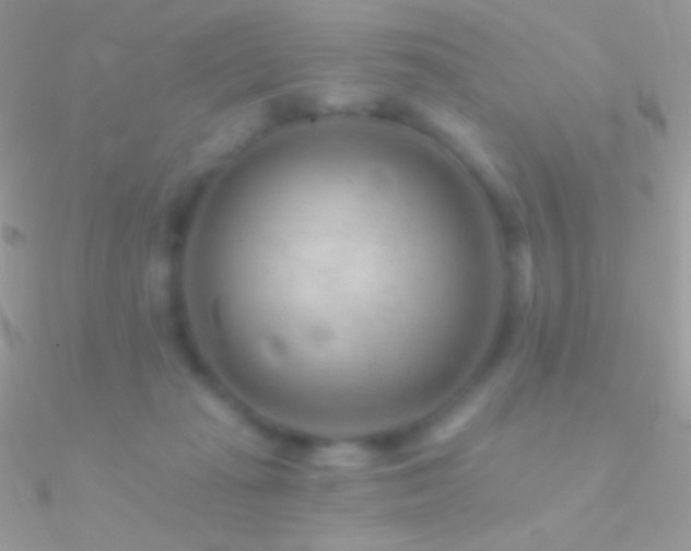 X0000090950269200708021342
