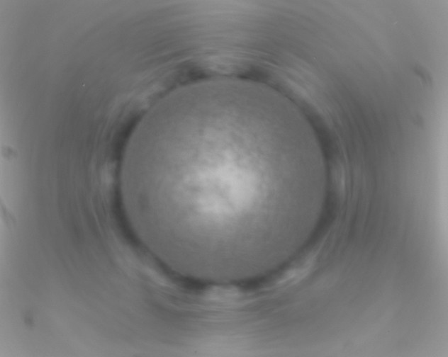 X0000090950271200708021342