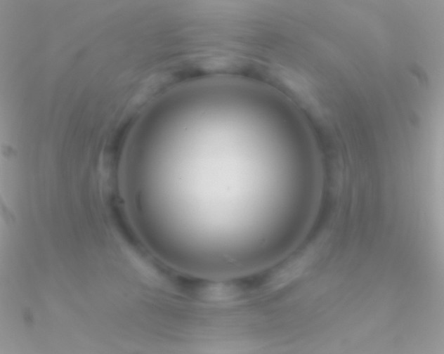 X0000090950273200708021342