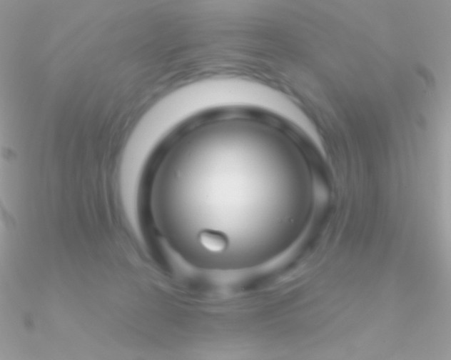 X0000090950274200708021342