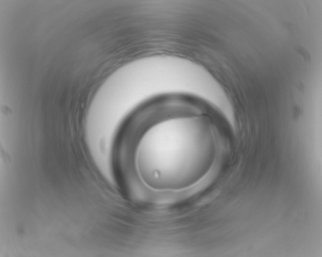 X0000090950276200708021342