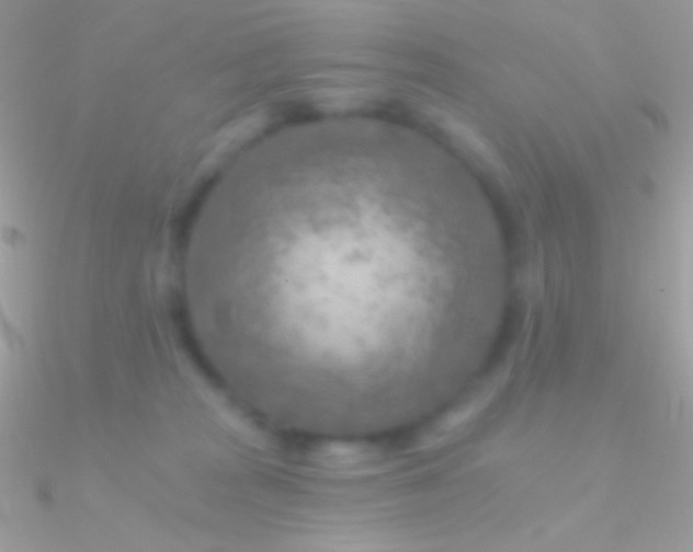 X0000090950277200708021342