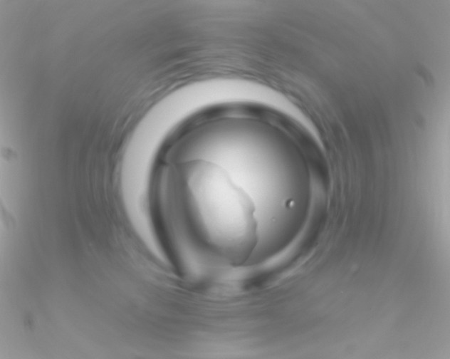 X0000090950278200708021342