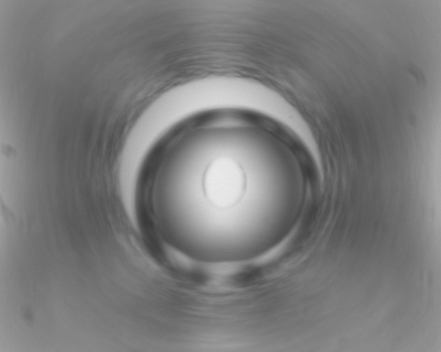 X0000090950280200708021342