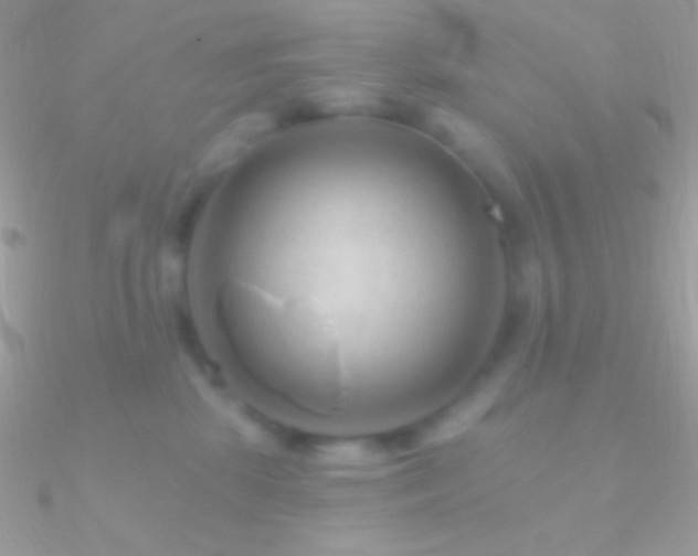 X0000090950281200708021342
