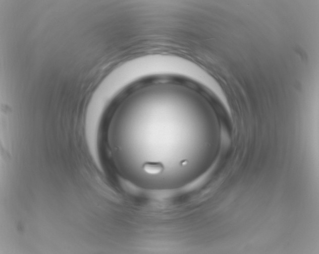 X0000090950282200708021342