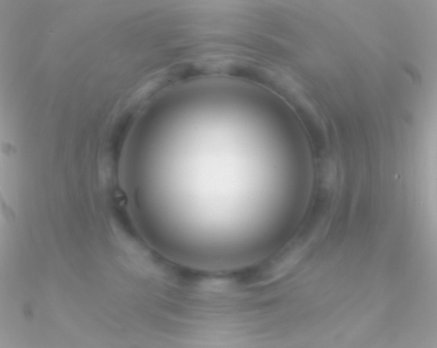 X0000090950283200708021342