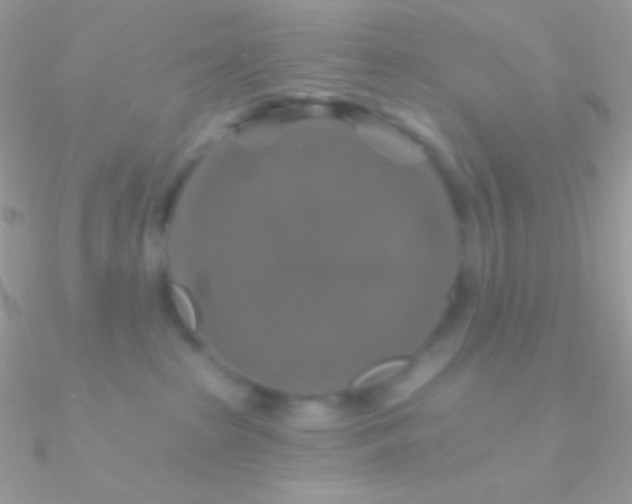 X0000090950285200708021342