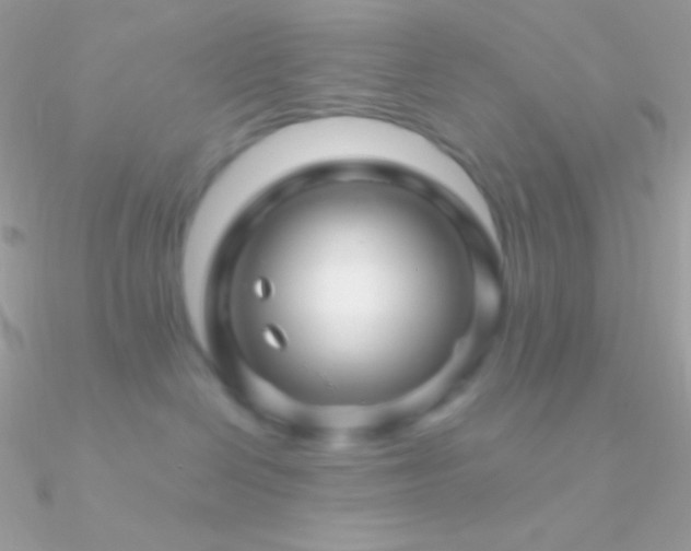X0000090950286200708021342