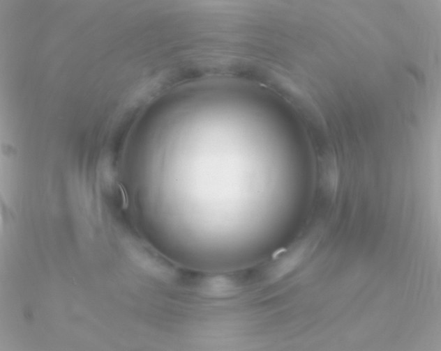 X0000090950287200708021343