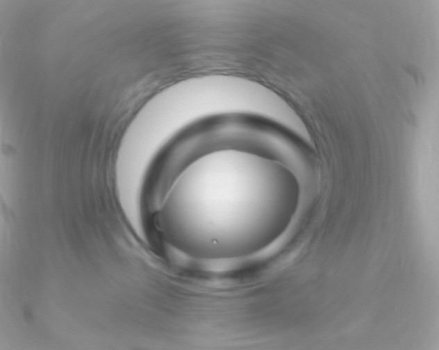 X0000090950288200708021343