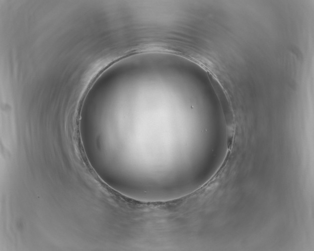 X0000090950289200708021342