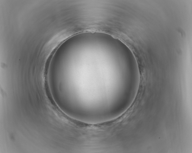 X0000090950290200708021342