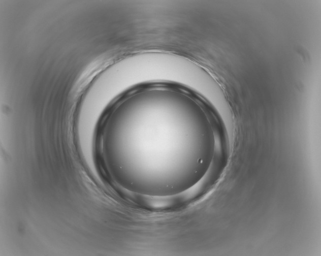 X0000090950293200708021342