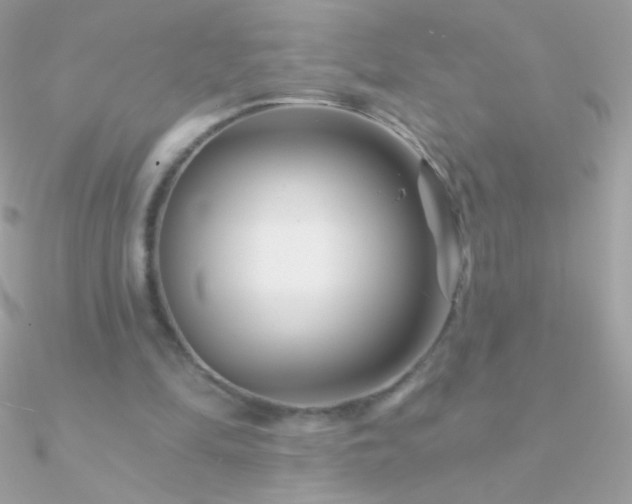 X0000090950294200708021342