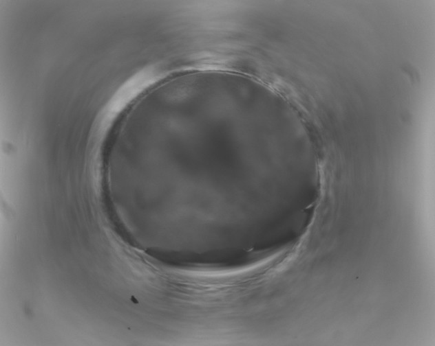 X0000090950295200708021342