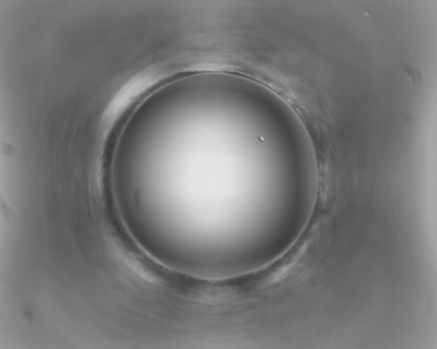 X0000090950296200708021342