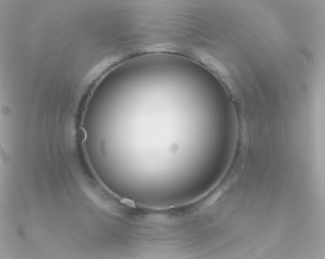 X0000090950298200708021342