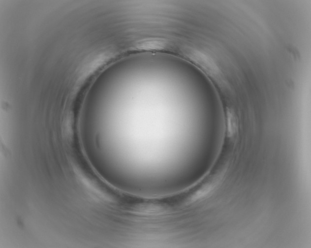 X0000090950300200708021342