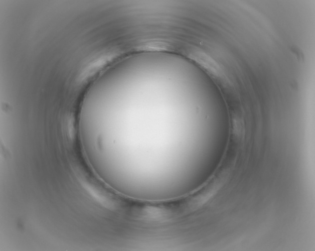 X0000090950302200708021342