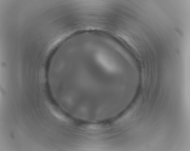 X0000090950303200708021342