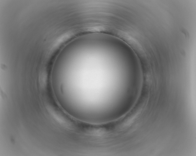 X0000090950304200708021342