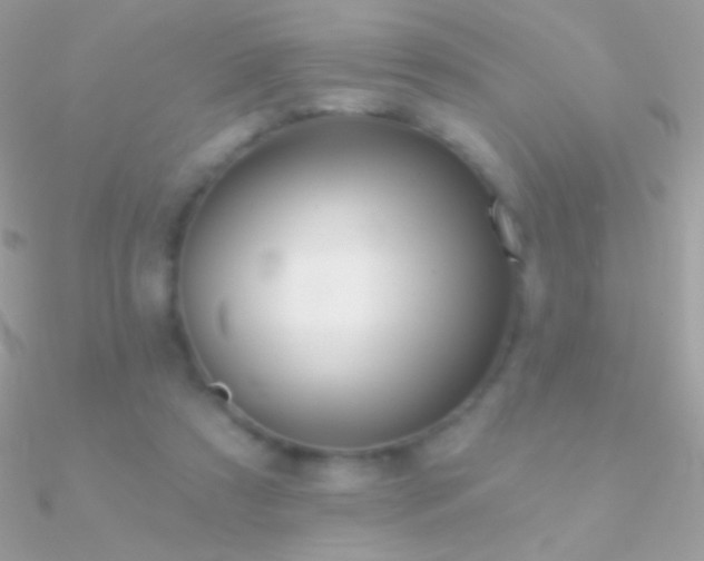 X0000090950305200708021342