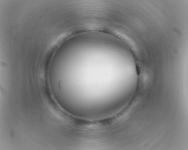 X0000090950306200708021342