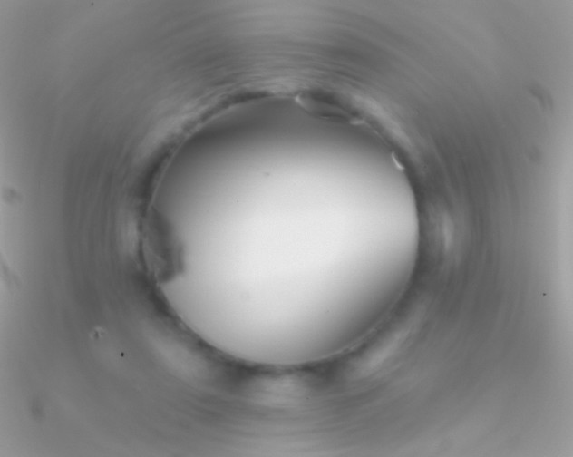 X0000090950307200708021342