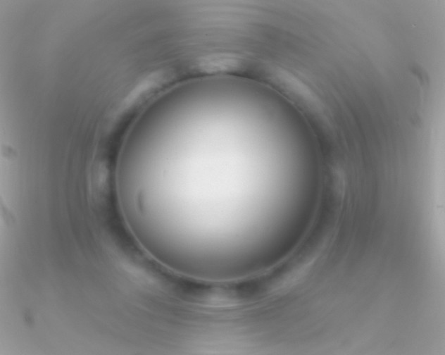 X0000090950308200708021342