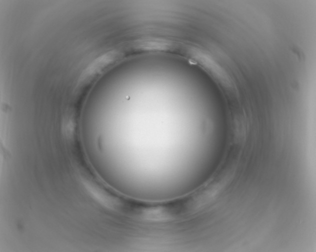 X0000090950309200708021342