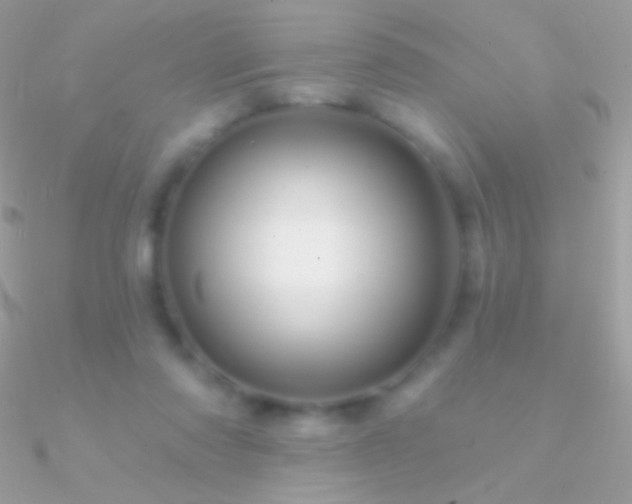 X0000090950310200708021342