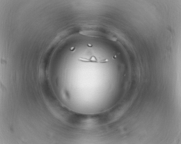 X0000090950312200708021342