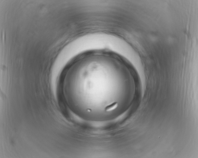 X0000090950313200708021342