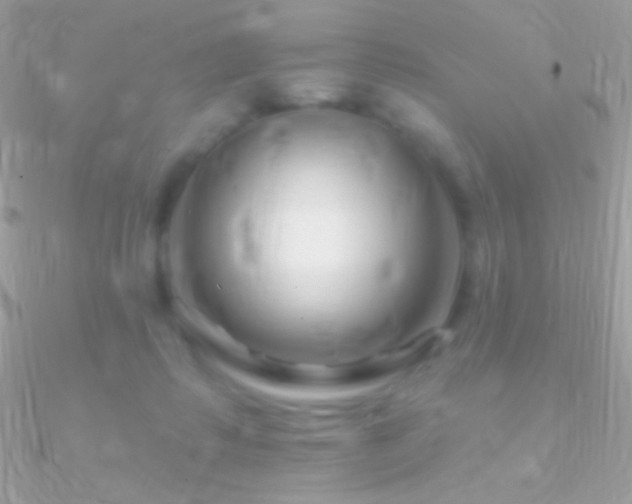 X0000090950315200708021342