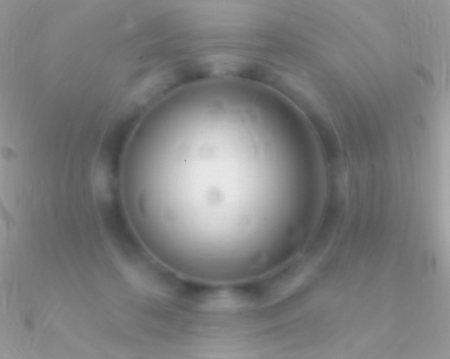X0000090950316200708021342
