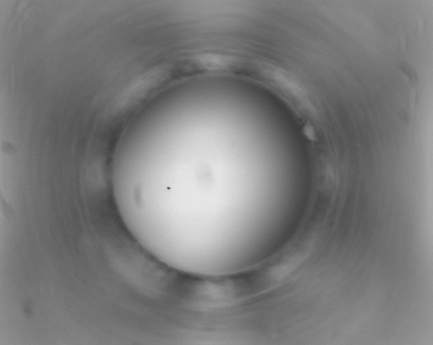 X0000090950317200708021342